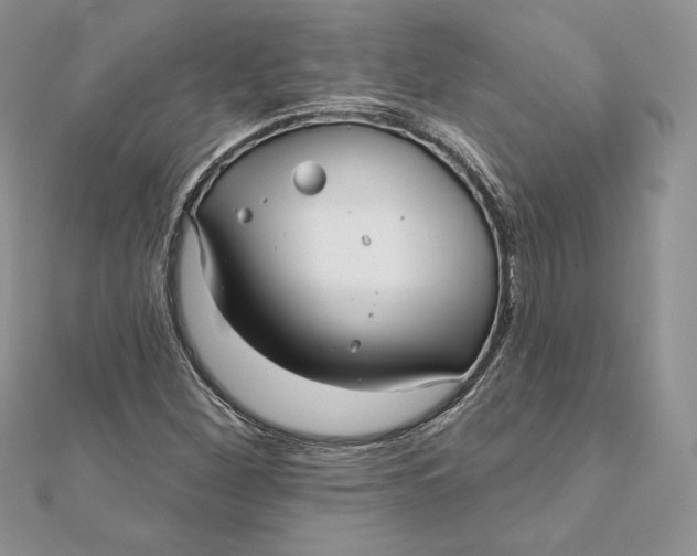 X0000112361260200909031903