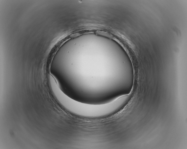 X0000112361261200909031903