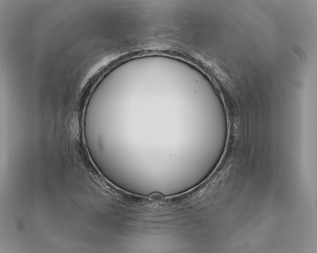 X0000112361262200909031902