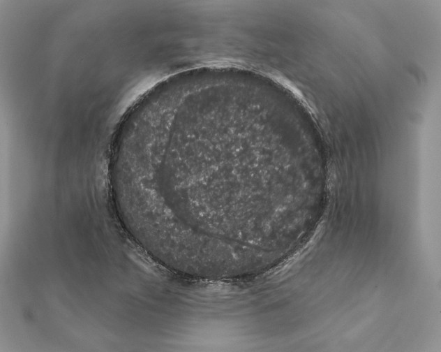 X0000112361263200909031902