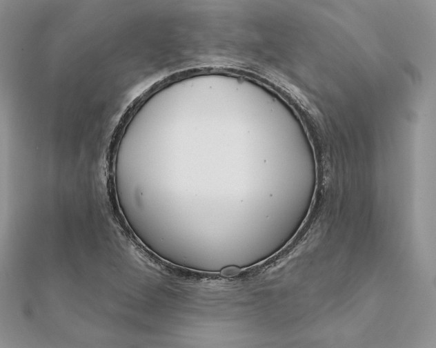 X0000112361264200909031902