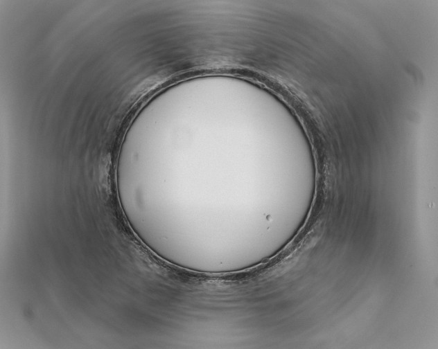 X0000112361265200909031902