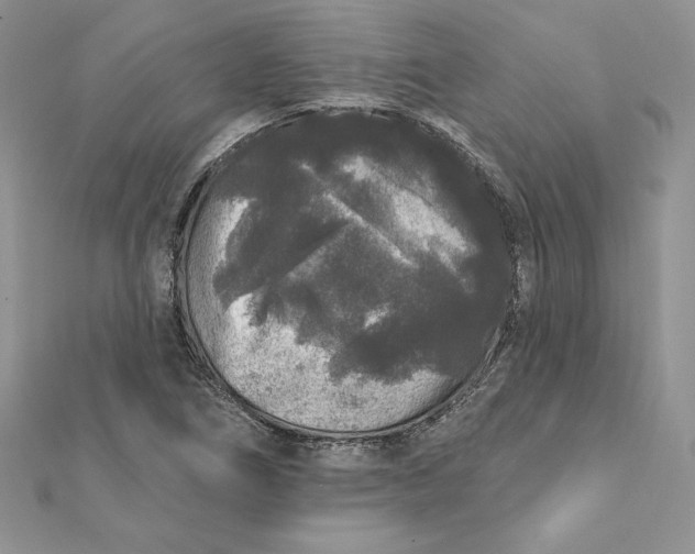 X0000112361266200909031902