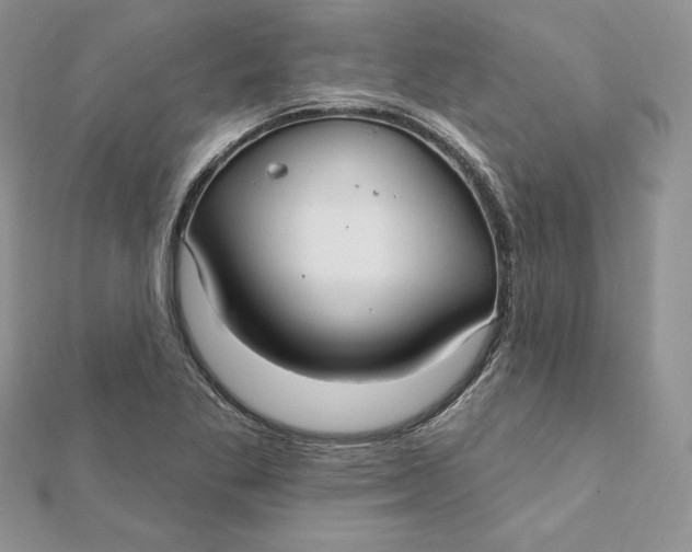 X0000112361269200909031902