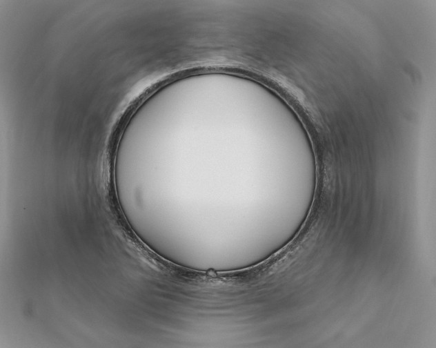 X0000112361270200909031902