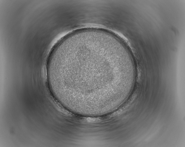 X0000112361271200909031902