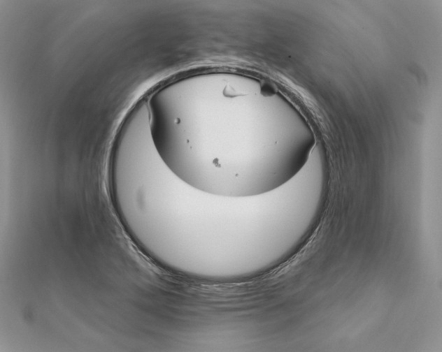 X0000112361272200909031902