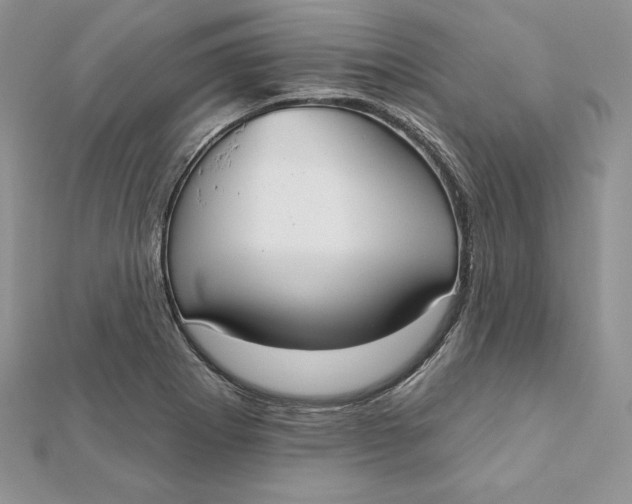 X0000112361273200909031902