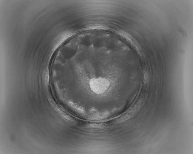 X0000112361274200909031902