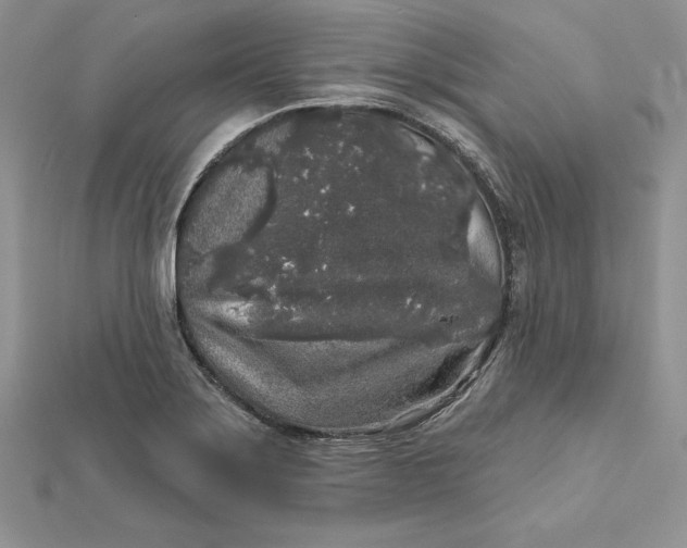 X0000112361275200909031902