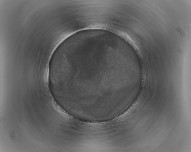 X0000112361276200909031902