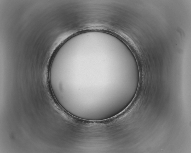 X0000112361277200909031902