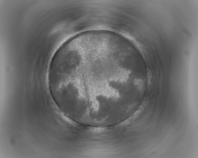 X0000112361278200909031902