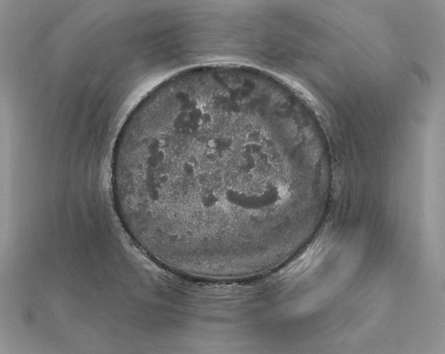 X0000112361279200909031902