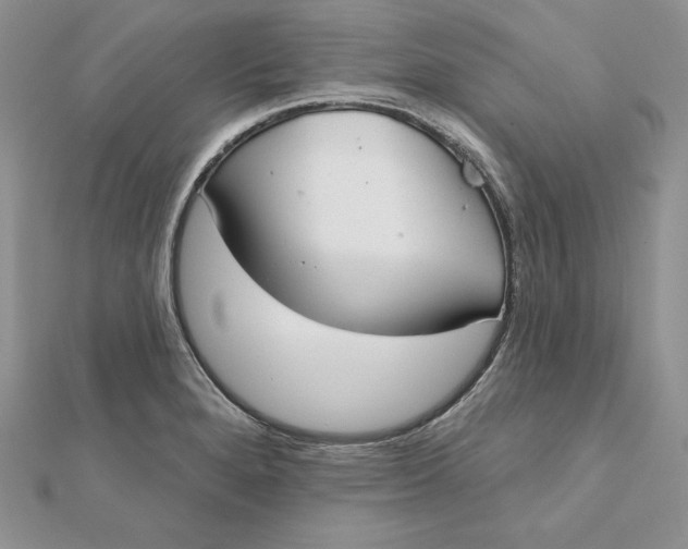 X0000112361280200909031902