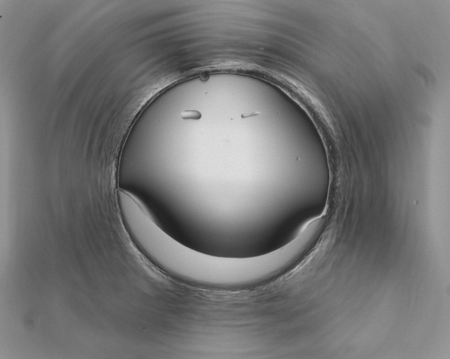 X0000112361281200909031902