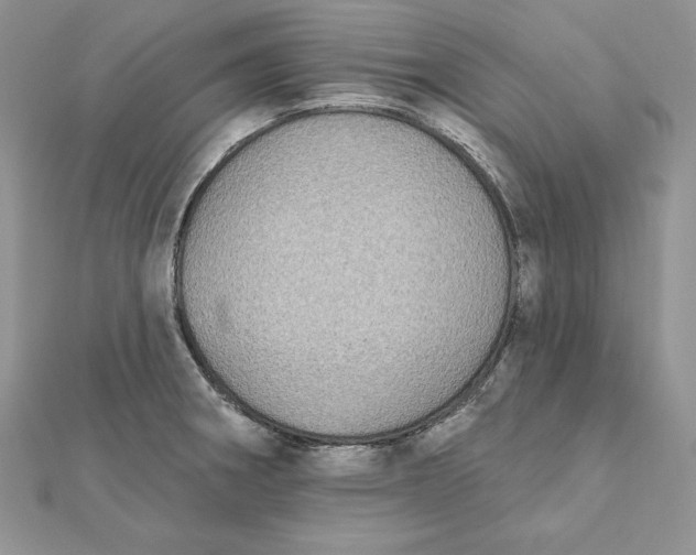 X0000112361282200909031902