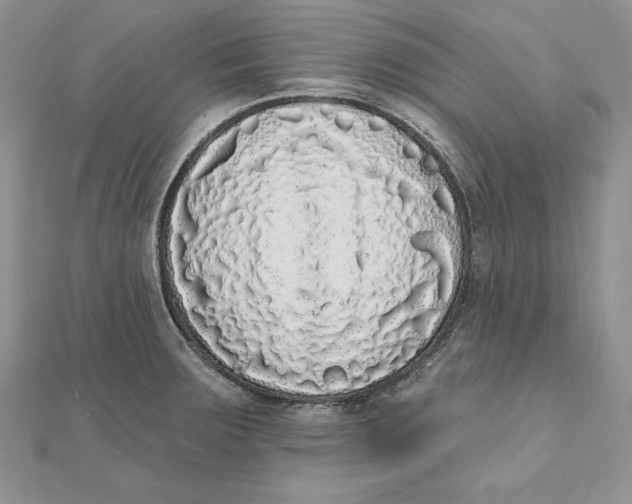 X0000112361283200909031902