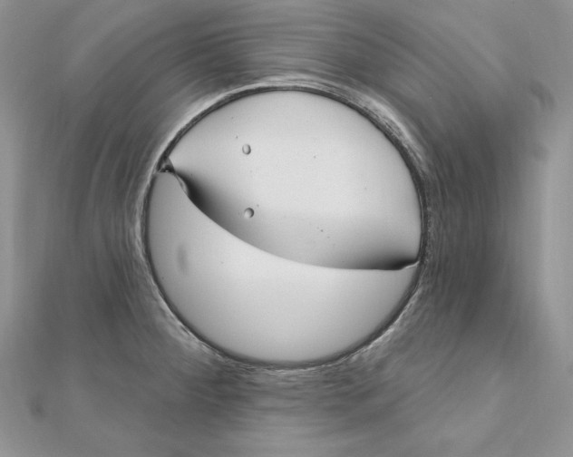 X0000112361284200909031902