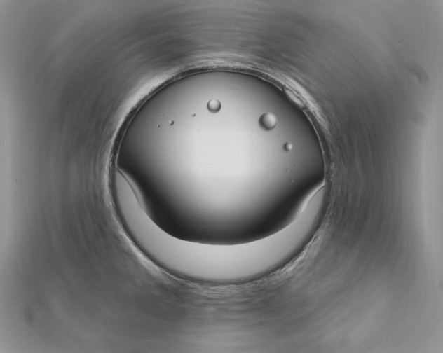 X0000112361285200909031902