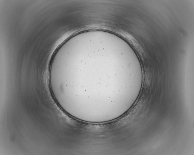 X0000112361286200909031902