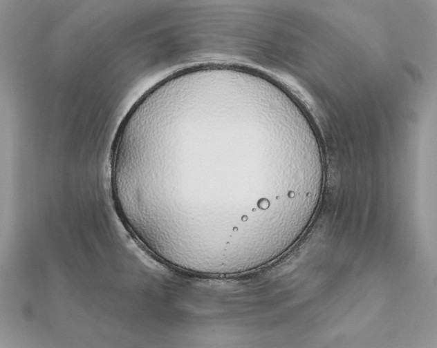 X0000112361287200909031902