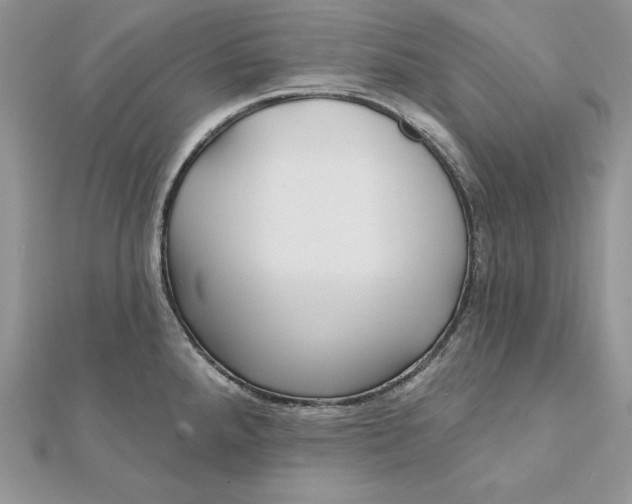 X0000112361288200909031902