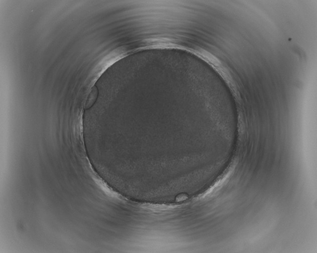 X0000112361289200909031902