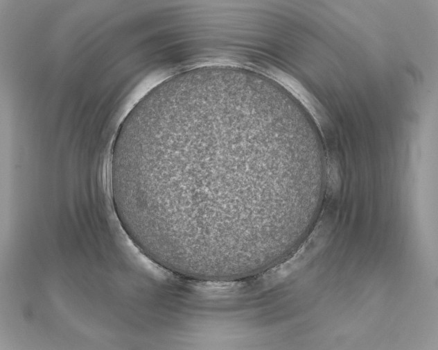 X0000112361290200909031902