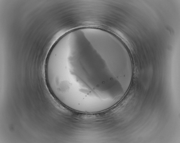 X0000112361291200909031902