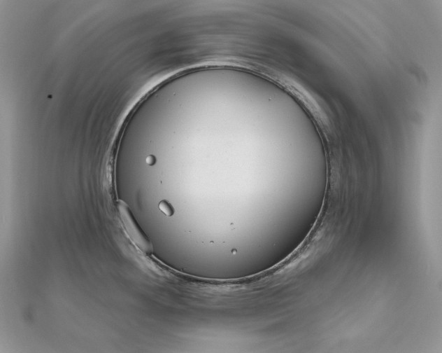 X0000112361292200909031902