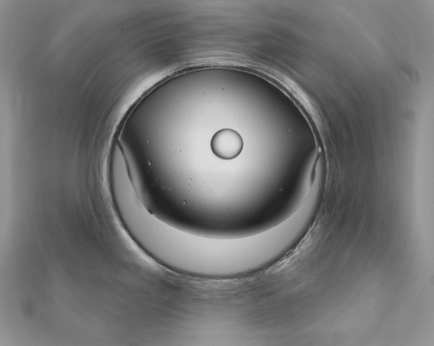 X0000112361293200909031902