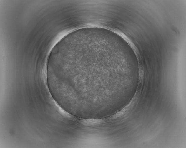 X0000112361294200909031902