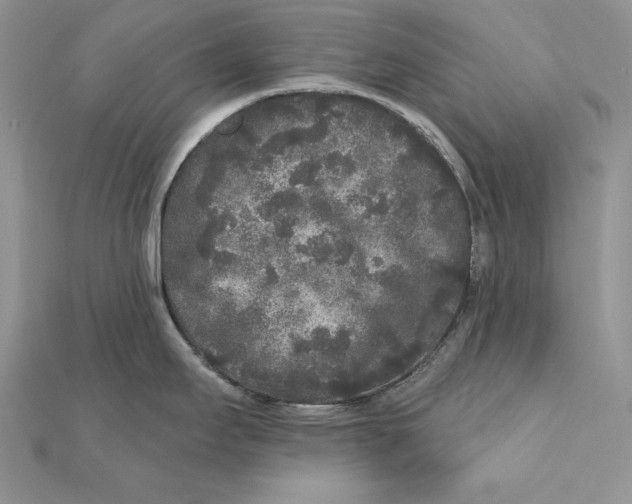 X0000112361295200909031902