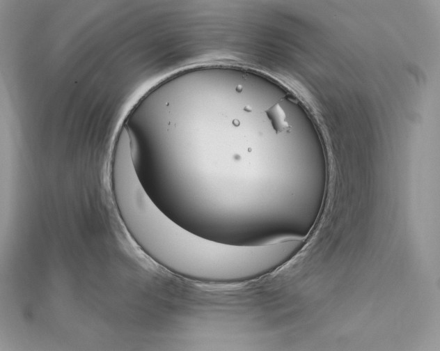 X0000112361296200909031902