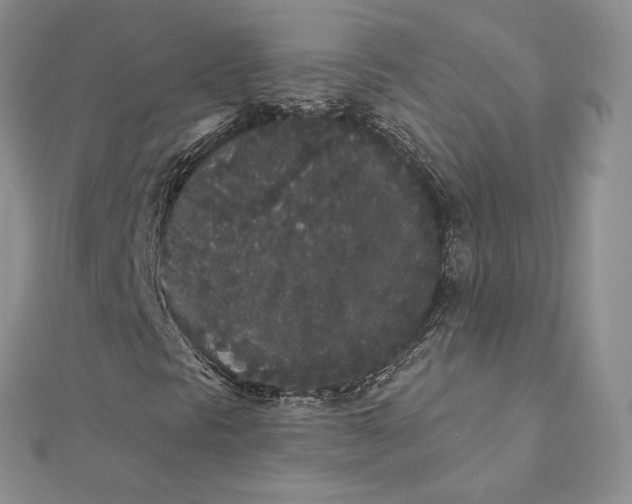 X0000112361297200909031901