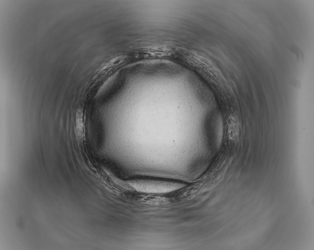 X0000112361298200909031901