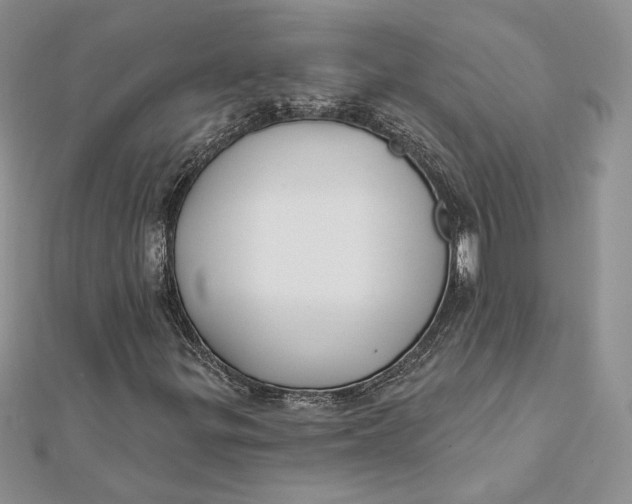 X0000112361299200909031901