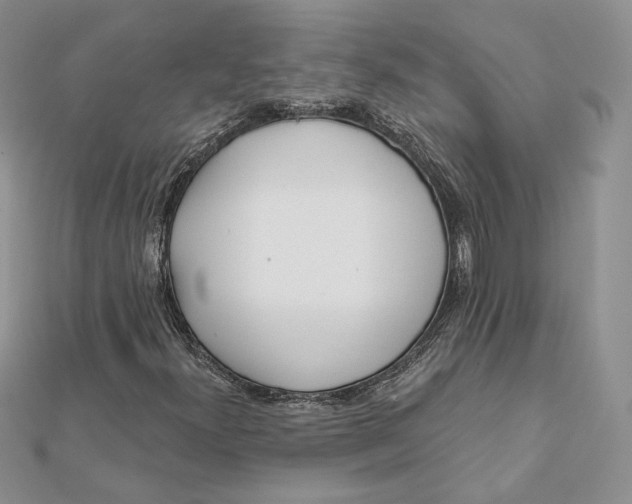 X0000112361300200909031901