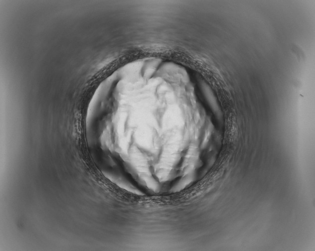 X0000112361301200909031901