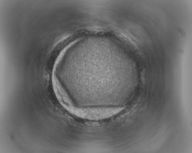 X0000112361302200909031902