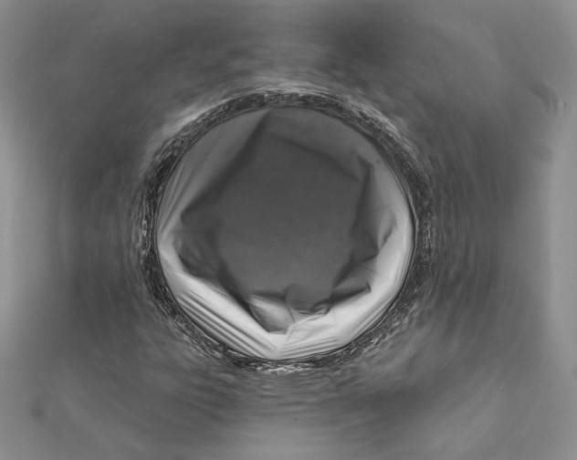 X0000112361303200909031902