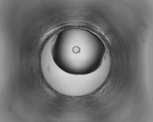 X0000112361304200909031902