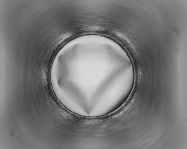 X0000112361305200909031902