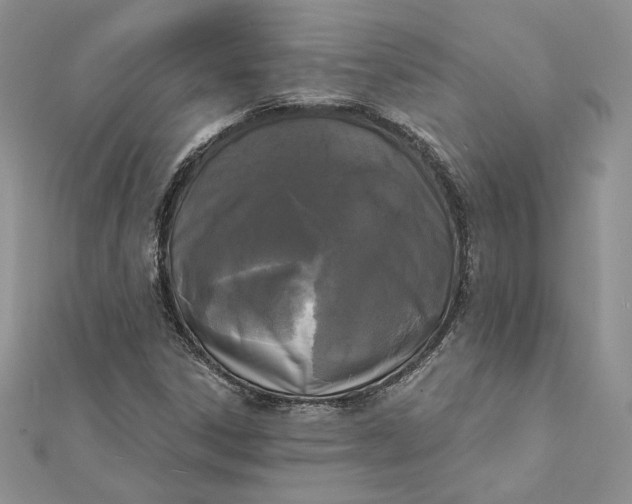 X0000112361306200909031902