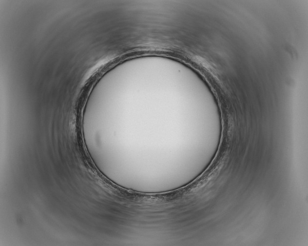 X0000112361307200909031902