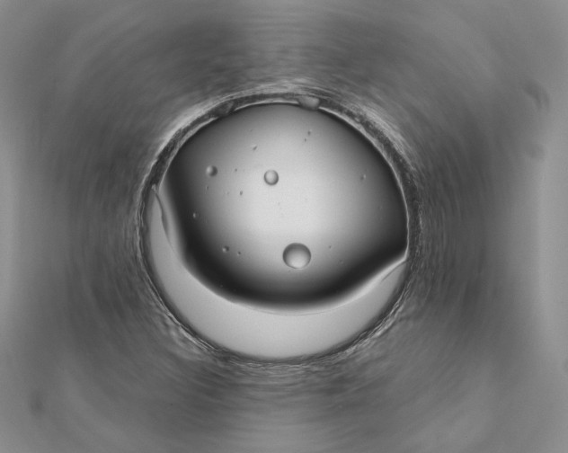 X0000112361308200909031902