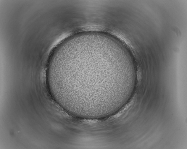 X0000112361309200909031902