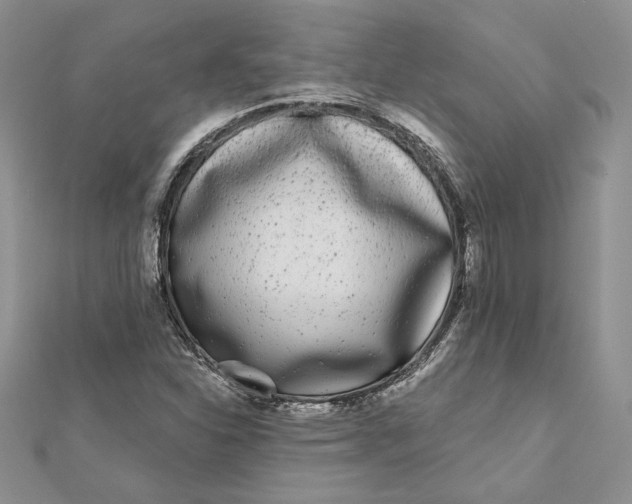 X0000112361310200909031902