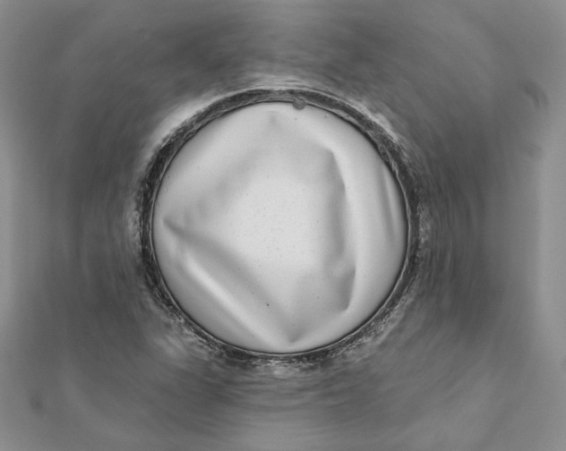 X0000112361311200909031902